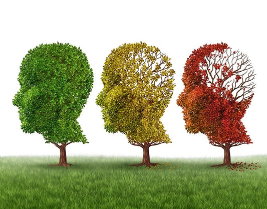 Natural Remedies For Dementia and Alzheimer’s: Latest Research on How to Reduce Your Risk