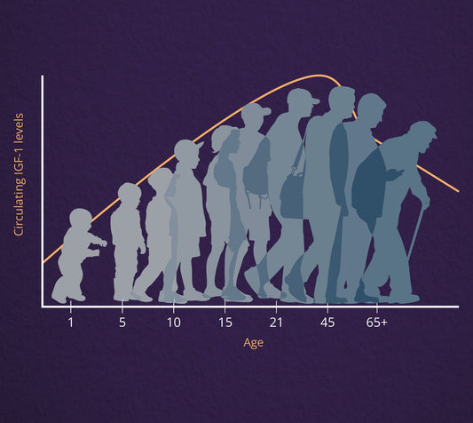 What's All the Fuss About IGF-1?