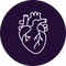 Support Cardiovascular Vitality